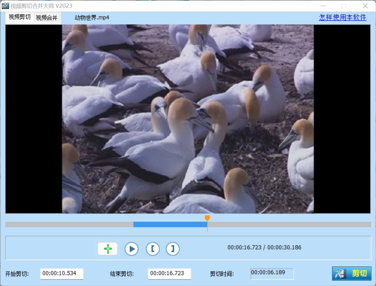 Screenshot of FLV editor