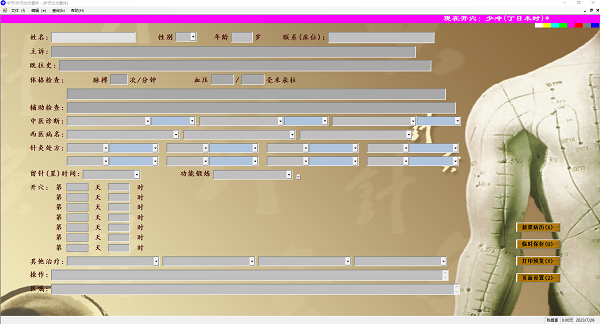 Screenshot of acupuncture system