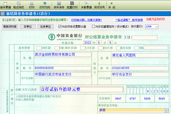 Bank bill printing expert - Screenshot of Jinma Bill Pass 2024