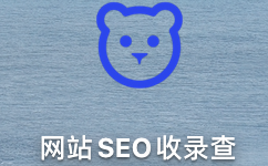 Website SEO included query paragraph first LOGO