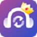 King's audio format converter