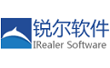 Ruier electronic file management system segment first LOGO