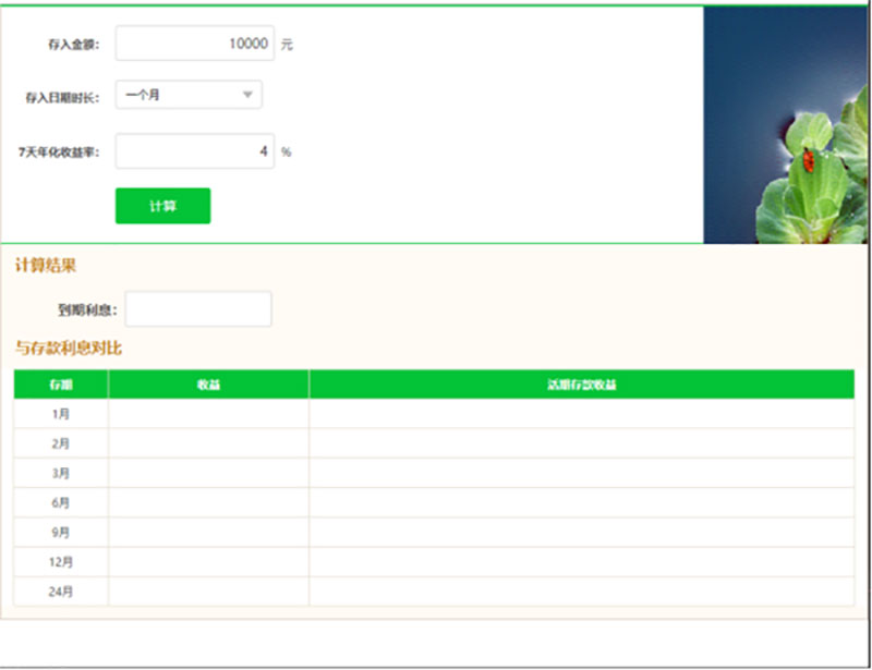 Screenshot of financial income calculation software