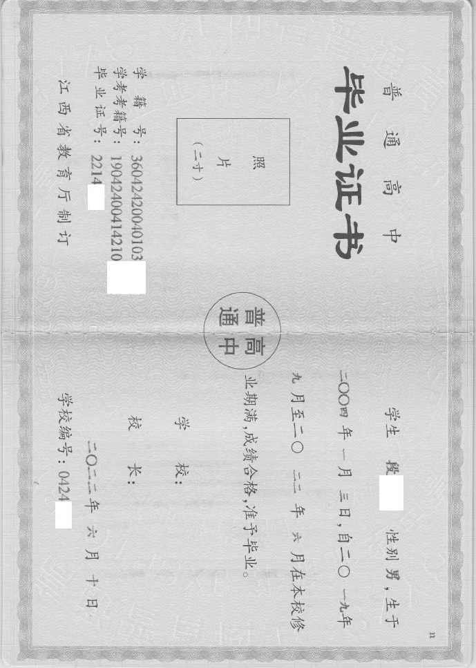 Screenshot of template generation tool