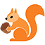 squirrel backup