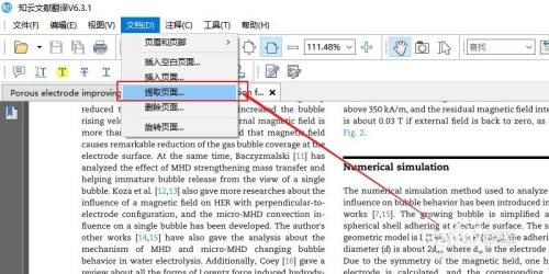 How does Zhiyun Document Translation save the PDF in pages? Screenshot of how Zhiyun Document Translation saves the PDF in pages