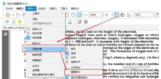 How to display documents in two windows in Zhiyun Document Translation? Screenshot of how to display documents in two windows in Zhiyun Document Translation