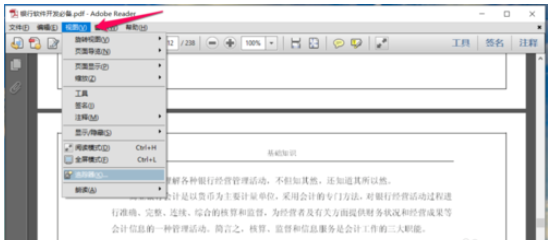 Screenshot of the tutorial for adding bookmarks to Adobe Reader XI (pdf reader)