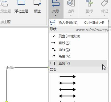 Screenshot of the specific method of designing flow chart in mindmanager