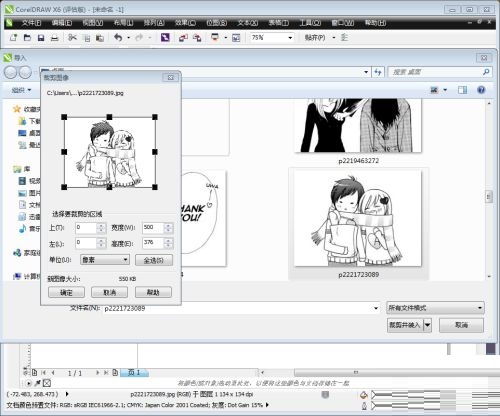 Use Coreldraw X6 to crop bitmaps