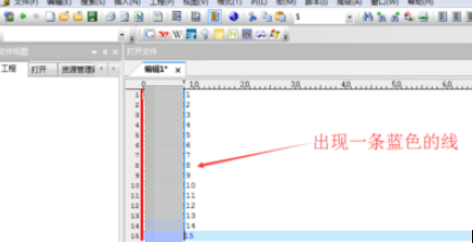 UltraEdit tutorial screenshot of inserting columns