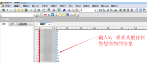 UltraEdit tutorial screenshot of inserting columns