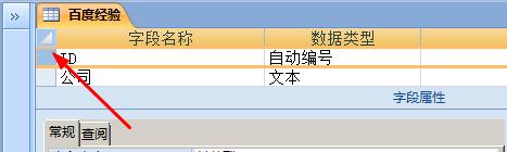 Detailed operation screenshot of custom setting primary key in access report