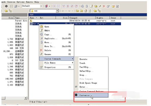 Screenshot of the tutorial for changing how a file is opened in WinSCP