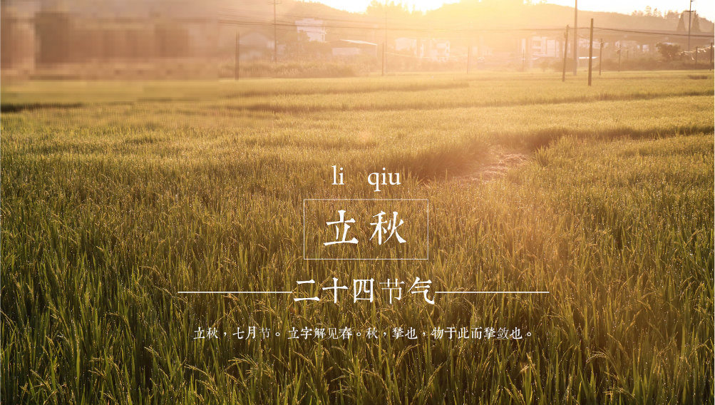 What foods should be eaten during the Beginning of Autumn?