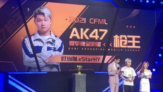 CrossFire professional e-sports player Dingdang Cat passed away unfortunately