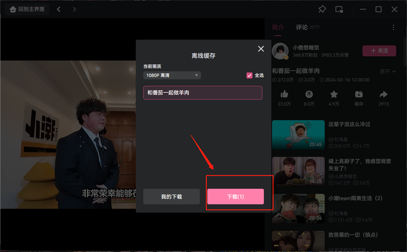 Bilibili download