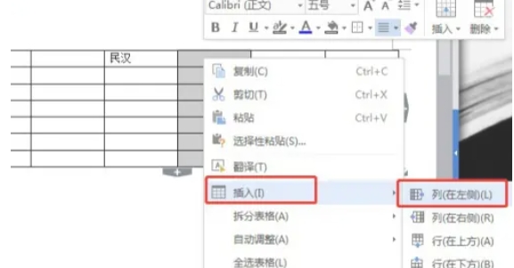 wps,wps latest download