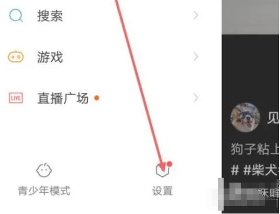 Kuaishou Extreme Edition, Kuaishou Extreme Edition latest download