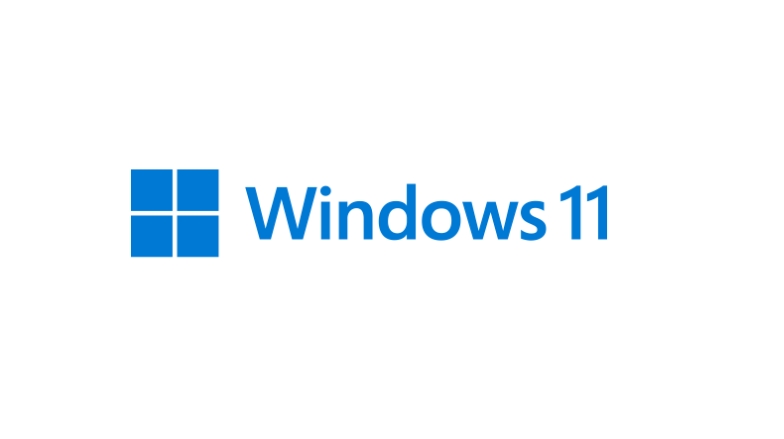 Windows 11 64-bit Ultimate Edition Download