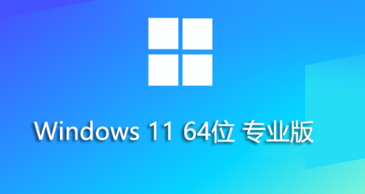 Win11 23H2 64-bit Professional Lite Edition