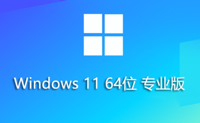 Win11 23H2 64-bit Professional Lite Edition