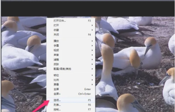 potplayer,potplayer latest download