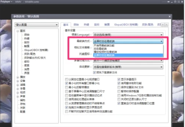 potplayer,potplayer latest download