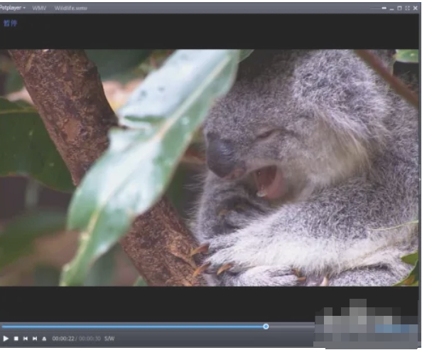 potplayer,potplayer latest download