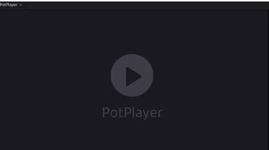 potplayer,potplayer latest download
