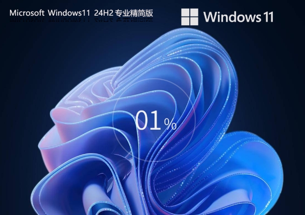 Slightly streamlined Windows 11 24H2 64-bit Professional Lite Edition image, Slightly streamlined Windows 11 24H2 64-bit Professional Lite Edition image latest download