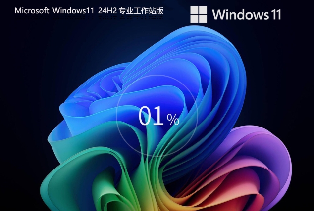 Windows 11 24H2 64-bit Professional Workstation Edition, Windows 11 24H2 64-bit Professional Workstation Edition