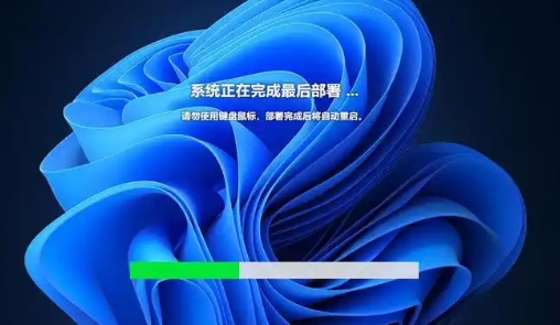 Microsoft Win11 Ultimate Edition