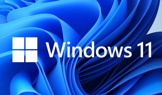 Microsoft Win11 Ultimate Edition