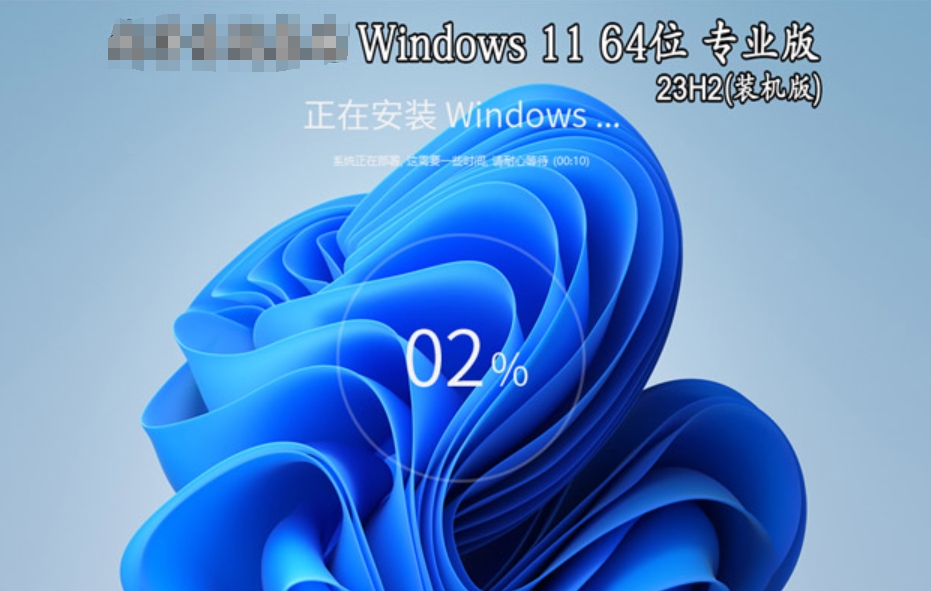 Windows 11 64-bit 23H2 Professional Edition (installed version)