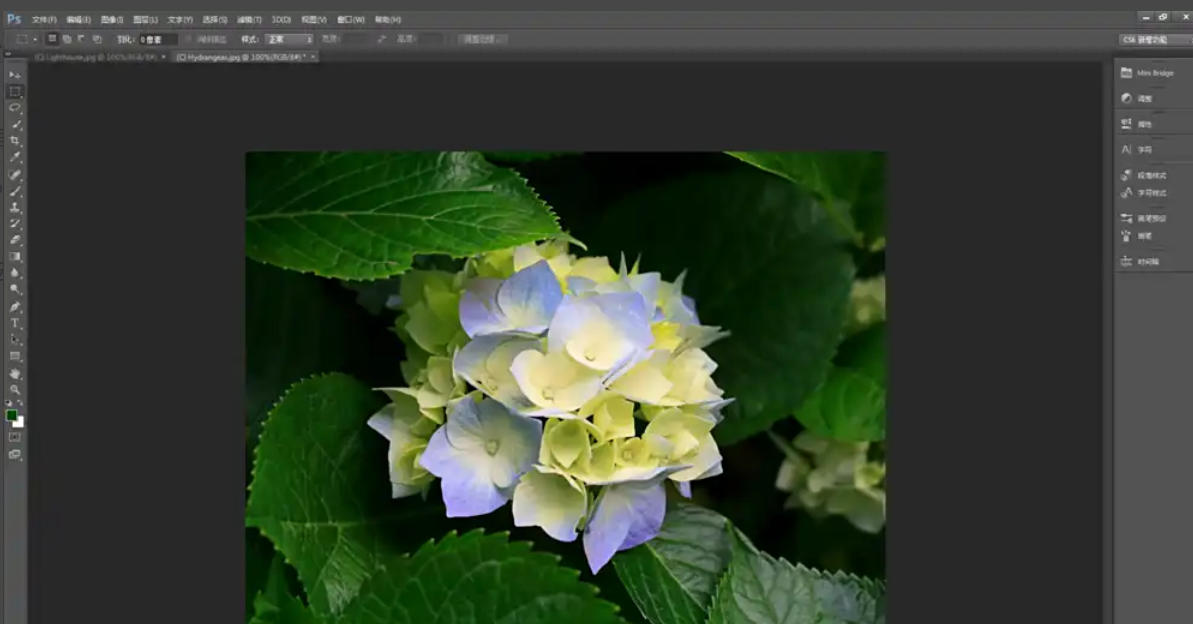 Photoshop CS6,Photoshop CS6 download