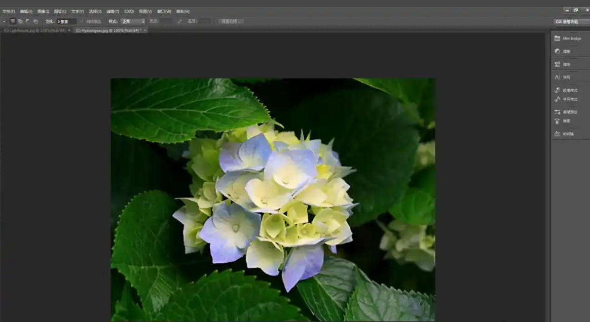 Photoshop CS6,Photoshop CS6 download