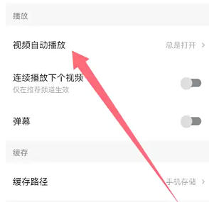 Watermelon video download