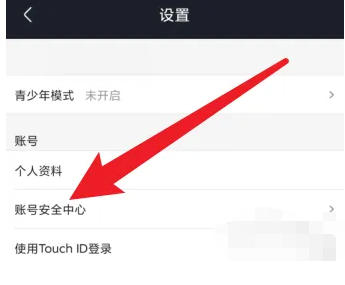 Youku video download