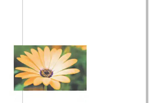 coreldraw, coreldraw download