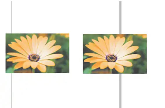 coreldraw, coreldraw download