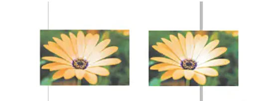 coreldraw, coreldraw download