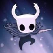 hollow knight