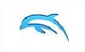Wii emulator Dolphin segment first LOGO
