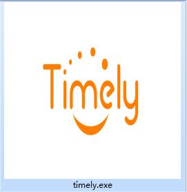 Screenshot of Timely online customer service system