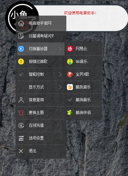 Screenshot of Xiaoyu Electronic Music Assistant