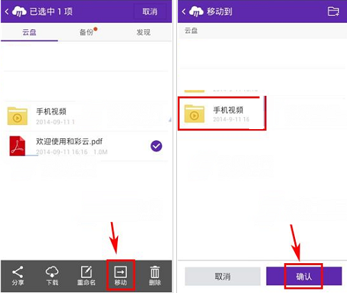 Screenshot of He Caiyun