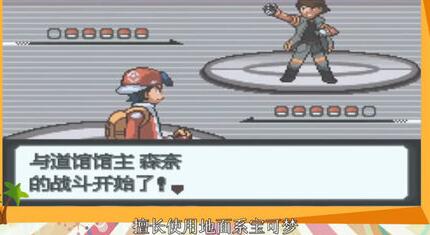 Pokemon Platinum Light screenshots