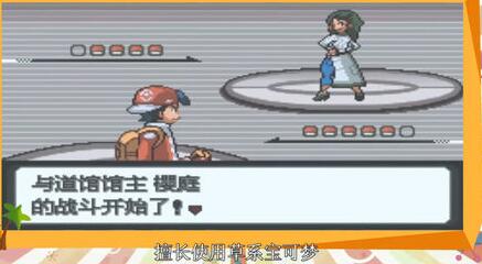 Pokemon Platinum Light screenshots