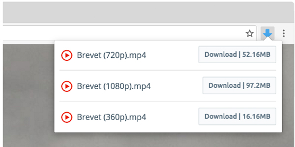 WebVideoDownloader (webpage video download) online use web version